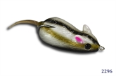 Rato 2296